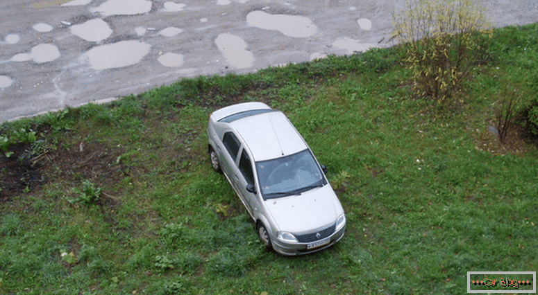 qual é a penalidade de estacionamento no gramado