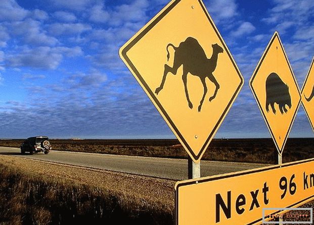 Sinal de estrada australiano adverte que vários animais podem correr para a estrada.