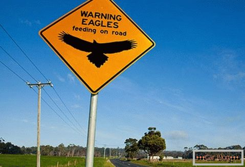 Aviso da possibilidade de encontrar águias na estrada