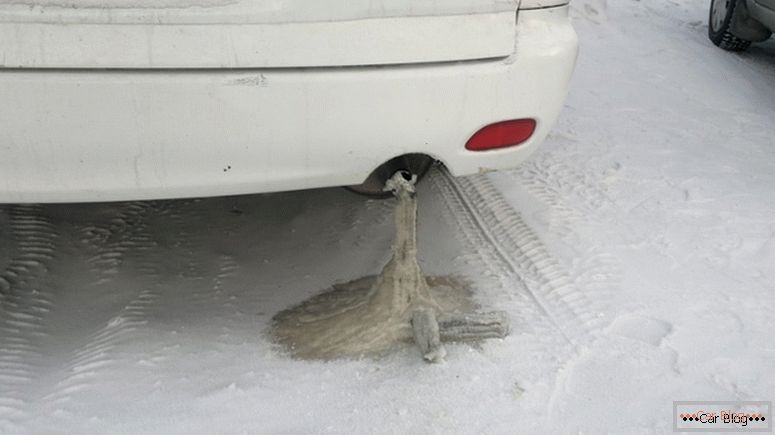 Sistema de escape do carro congelado